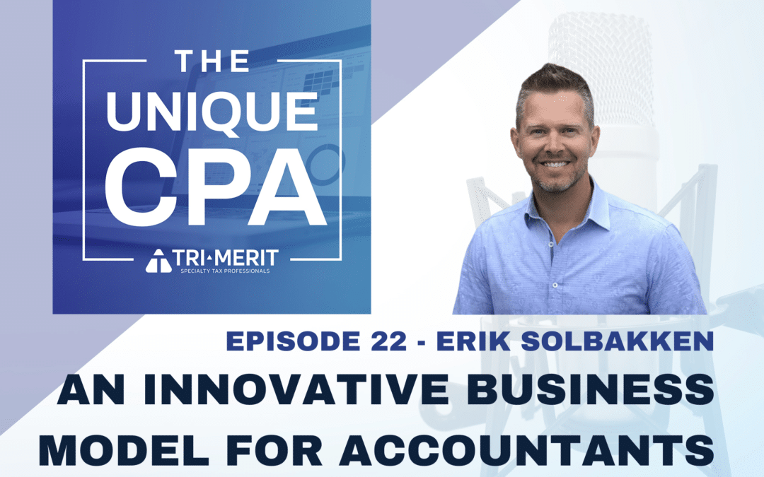 An Innovative Business Model for Accountants